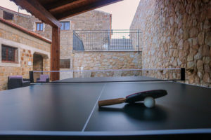 Tavolo da ping pong