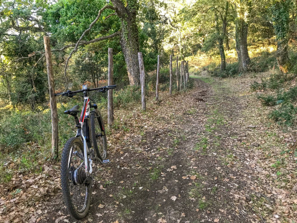 passeggiata in bici