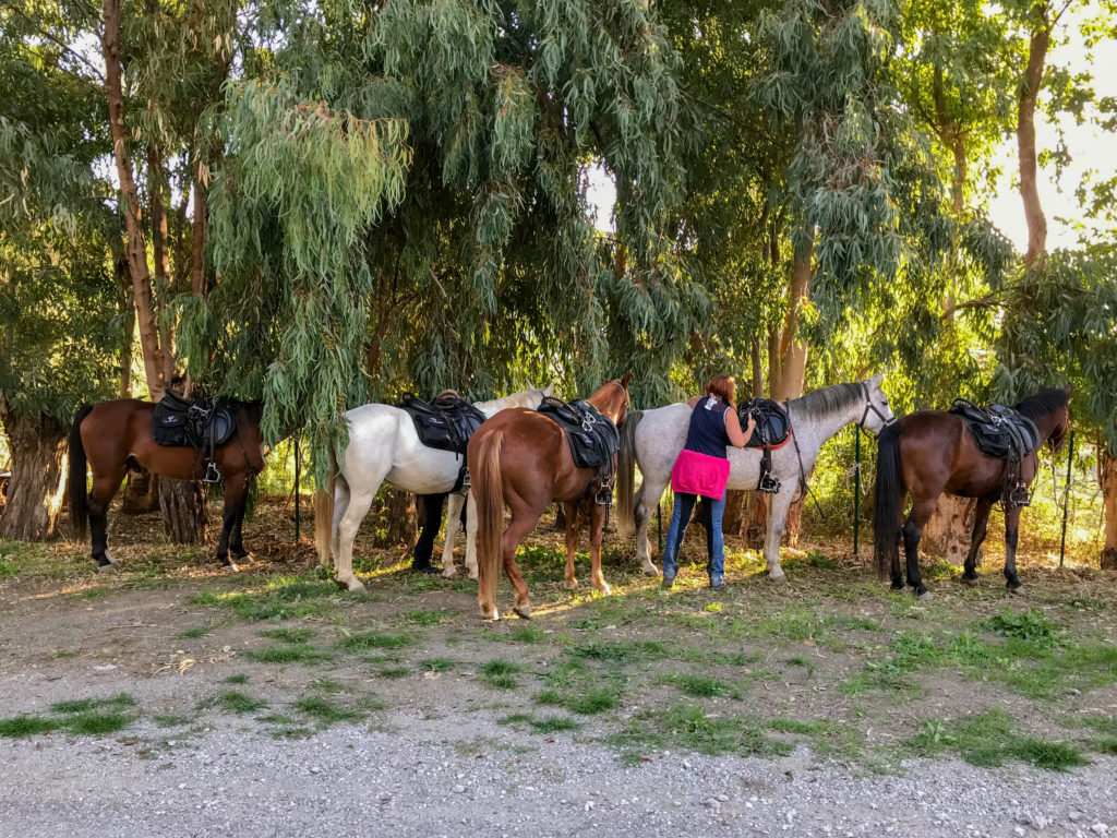 passeggiata a cavallo